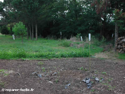 Piège à taupe : L'arme ultime pour éloigner les taupes de votre potager.